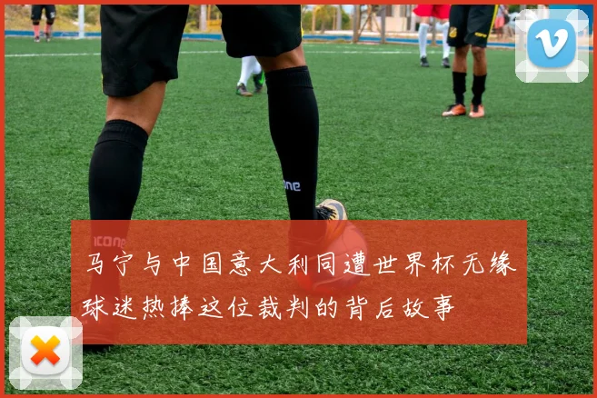 马宁与中国意大利同遭世界杯无缘球迷热捧这位裁判的背后故事